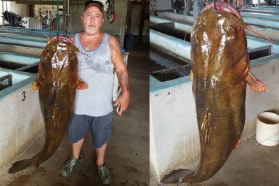 Panhandle Angler catches state record Catfish