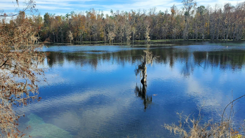 Merritts Mill Pond photo