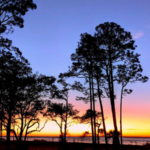 Ochlockonee River thumbnail