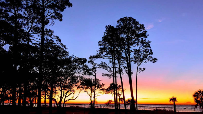 Ochlockonee River photo