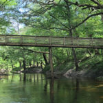 Suwannee River thumbnail