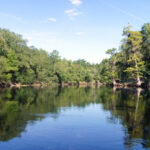 Suwannee River thumbnail