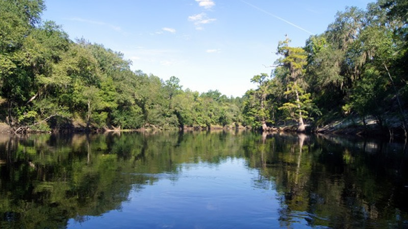 Escambia River photo