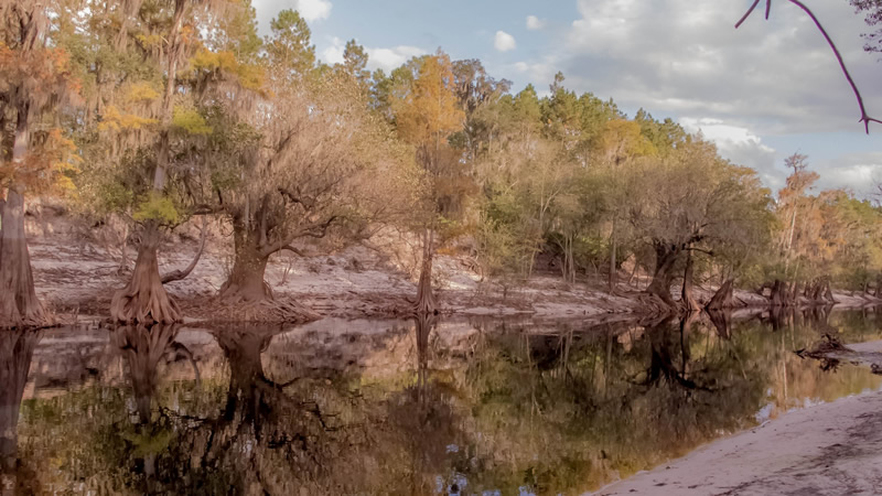 Suwannee River photo