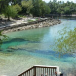 Suwannee River thumbnail