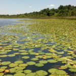 Lake Miona thumbnail
