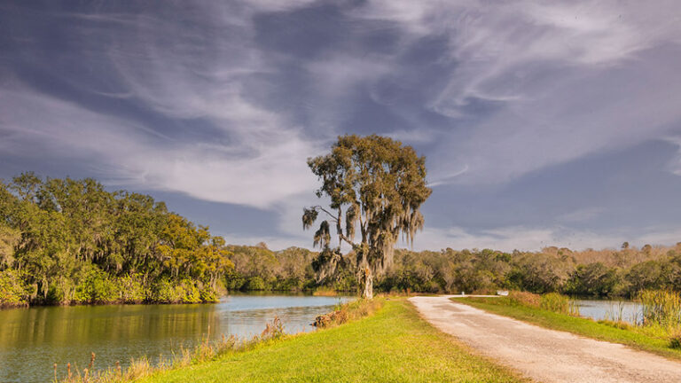 Saddle Creek Park, FL