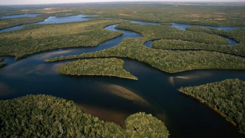 Homosassa River photo