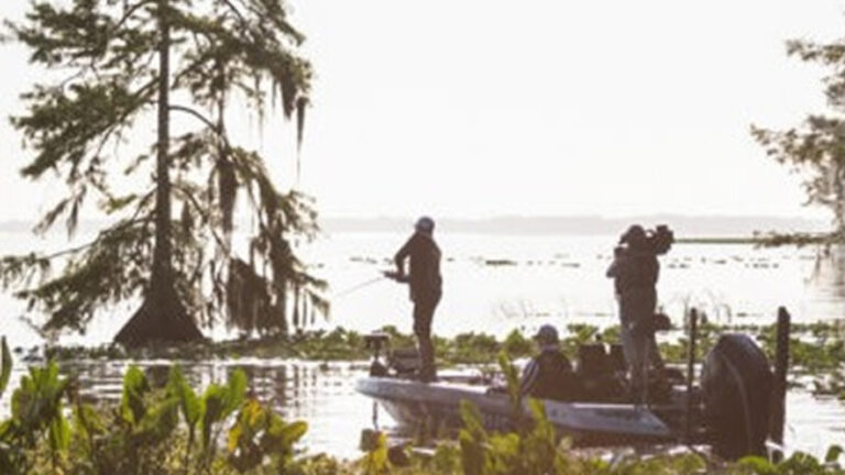 Harris Chain of Lakes