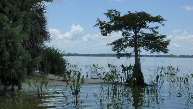 Lake Griffin