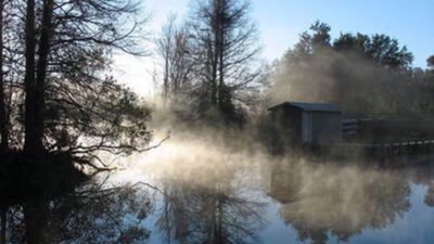 Lake Griffin