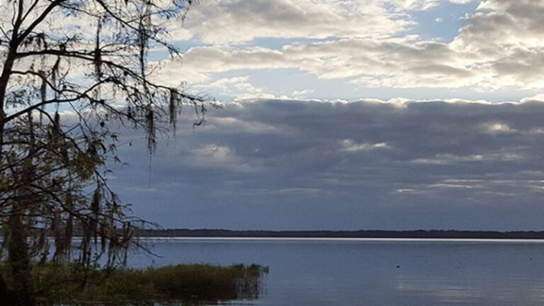 Lake Disston FL