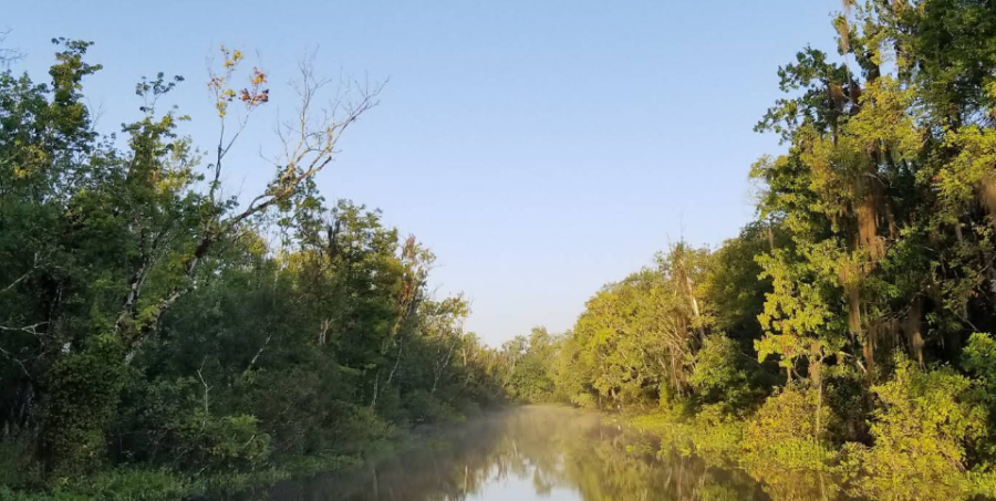 Lake Woodruff photo
