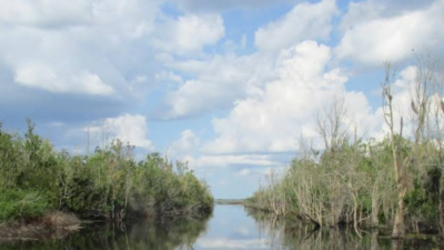 Lake Livingston