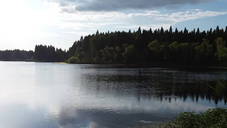 Phosphate Pits Florida