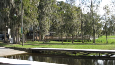 Lake Blue Cypress