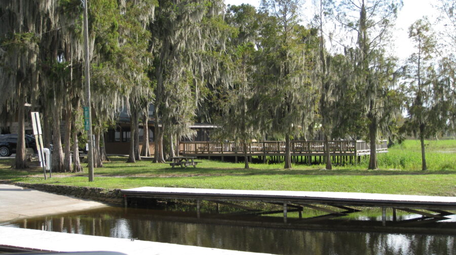 Lake Blue Cypress photo