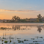Lake Denham thumbnail