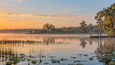 Lake Denham