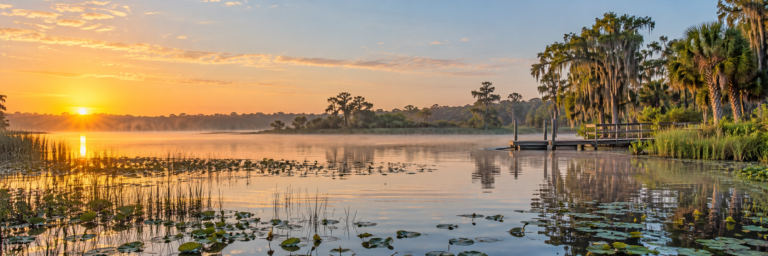 Lake Denham at sunrise near Flat Island Preserve in Leesburg, Florida
