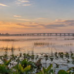 Lake Jesup thumbnail