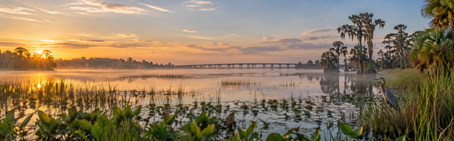 Lake Jesup photo