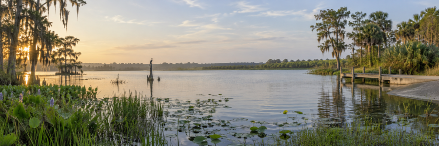 Lake Garfield photo