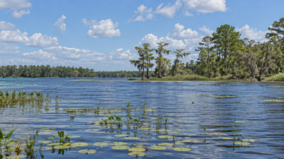 Lake Sampson