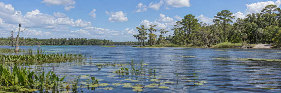 Lake Sampson photo
