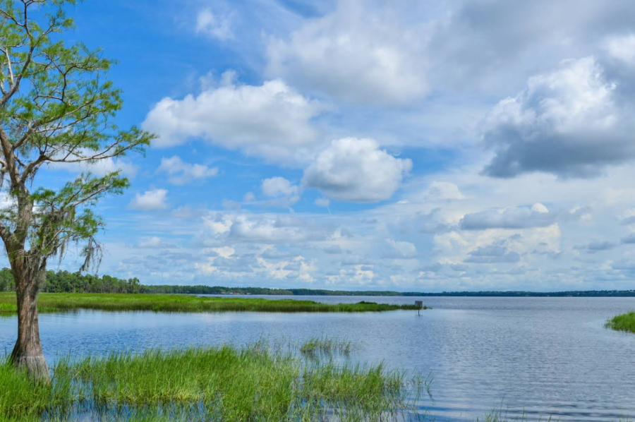 Lake Louisa