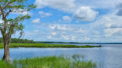 Lake Louisa