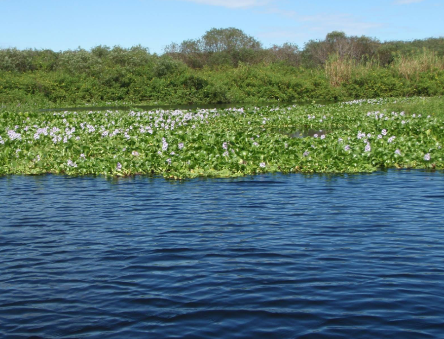 Lake Rosalie
