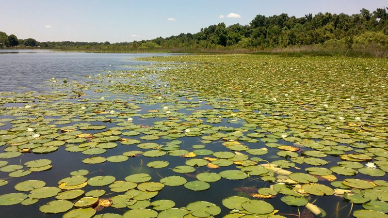 Edward Medard Reservoir photo