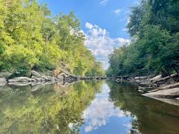 Choctawhatchee River photo