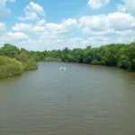 Choctawhatchee River thumbnail