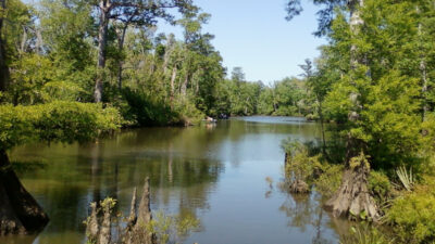 Escambia River