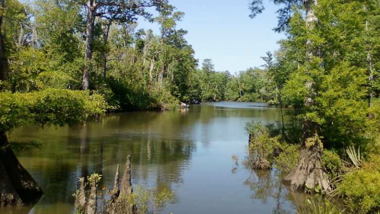 Escambia River