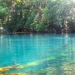 Wacissa River thumbnail