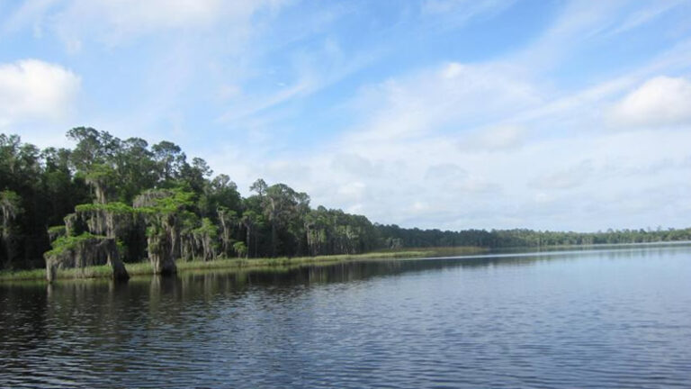 Palestine Lake