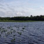 Ocala Forest Lakes thumbnail