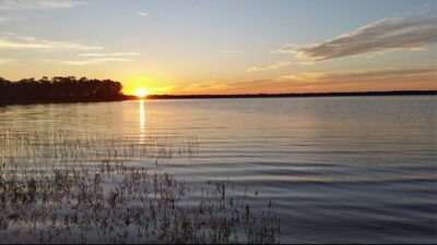 Ocala Forest Lakes