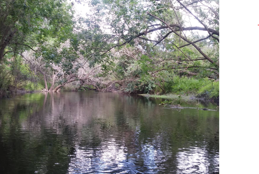 Lake Parrish photo