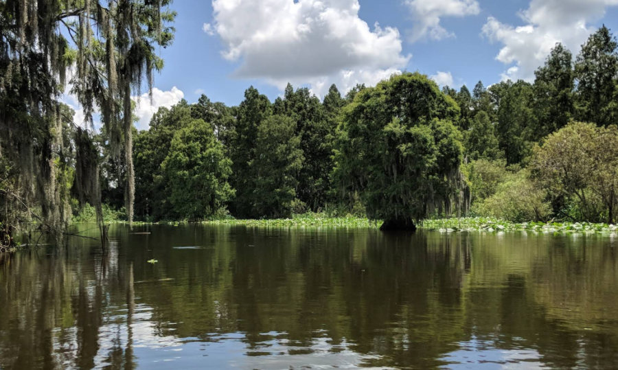 Lake Thonotosassa photo