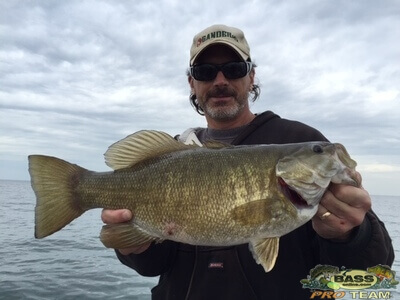 Lake Erie smallmouth on feeding frenzy