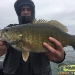 About Us 5 Lake Erie Smallmouth on fire in April