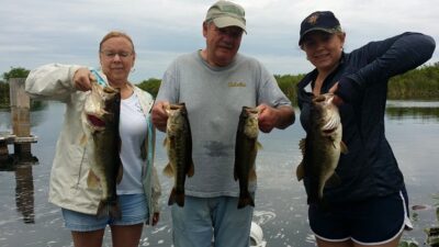 Winter Haven, FL
