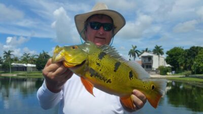 The Falls Canal System Peacock Bass Fishing
