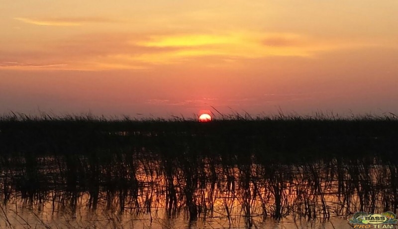 Mark Shepards Bass Fishing Family