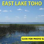 East Lake Tohopekaliga thumbnail