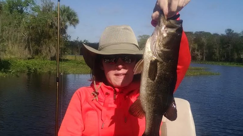 St Johns River photo